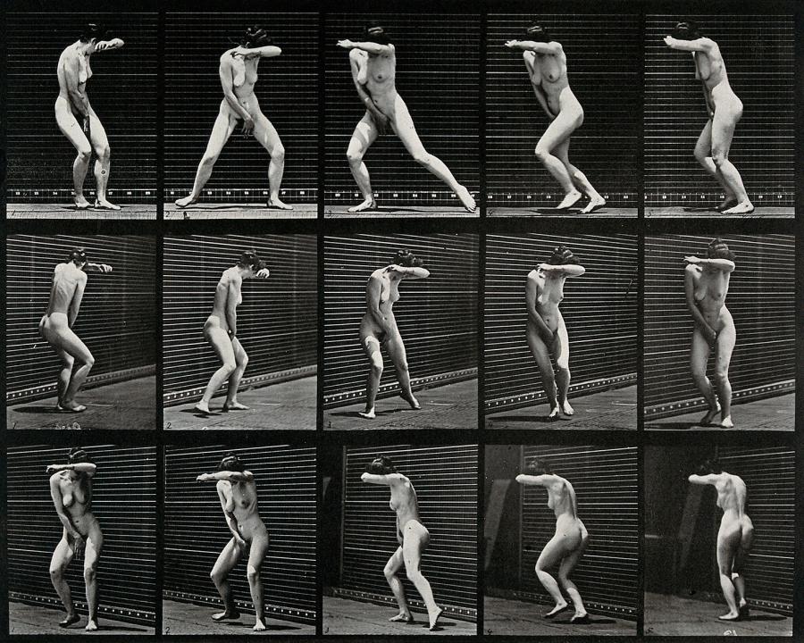 Eadweard Muybridge, 1887