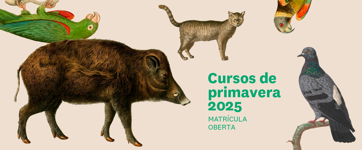 Cursos primavera 2025